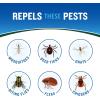 imageCutter Backwoods Dry Insect Repellent Mosquito Repellent 25 DEET Sweat Resistent 4 Ounce Aerosol Spray1 Pack