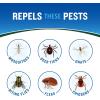 imageCutter Backwoods Insect Repellent 12 Pack Repels Mosquitos for Up To 10 Hours 25 DEET 6 Ounce Aerosol Spray6 Ounce Pack of 12