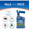 imageCutter Backyard Bug Control Combo Pack with Outdoor Fogger ampamp HoseEnd Spray Concentrate