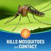 imageCutter Backyard Bug Control Outdoor Fogger Kills Mosquitoes Fleas ampamp Listed Ants 16 Ounce 3Pack2 Pack
