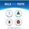 imageCutter Backyard Bug Control Spray Concentrate 3 Pack Kills Mosquitoes Fleas ampamp Listed Ants 32 fl Ounce1 Pack