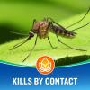 imageCutter Backyard Bug Control Spray Concentrate 3 Pack Kills Mosquitoes Fleas ampamp Listed Ants 32 fl Ounce1 Pack