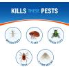 imageCutter Backyard Bug Control Spray Concentrate 3 Pack Kills Mosquitoes Fleas ampamp Listed Ants 32 fl Ounce1 Pack