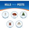 imageCutter Backyard Bug Control Spray Concentrate 3 Pack Kills Mosquitoes Fleas ampamp Listed Ants 32 fl Ounce6 Pack
