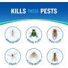 imageCutter Essentials Outdoor Fogger Safe Around Children ampamp Pets Kills Mosquitoes Fleas ampamp Listed Ants 14 fl Ounce14 Fl Oz Pack of 1