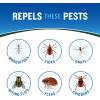 imageCutter Lemon Eucalyptus Insect Repellent 6 Count No DEET Mosquito Repellent 4 fl Ounce Pump Spray11 Ounce Pack of 1
