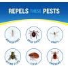 imageCutter Lemon Eucalyptus Insect Repellent 6 Count No DEET Mosquito Repellent 4 fl Ounce Pump Spray15 Count Pack of 1