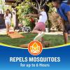 imageCutter Lemon Eucalyptus Insect Repellent 6 Count No DEET Mosquito Repellent 4 fl Ounce Pump Spray4 Fl Oz Pack of 6