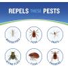 imageCutter Skinsations Insect Repellent Repels Mosquitos Ticks Gnats Fleas 7 DEET 2 pack 6 fl Ounce Pump Spray6 Fl Oz Pack of 2