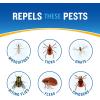 imageCutter Sport Insect Repellent Aerosol 11 oz Plain