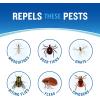 imageCutter Dry Insect Repellent Aerosol 4Ounce 12Count Clear12 Pack
