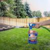 imageCutter HG61067 32 oz Backyard Bug Control Spray  Quantity 3