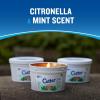 imageCutter Candle Outdoor Soy Wax Candle Made with Real Citronella Oil and Cornmint Oil Reduces The Presence of Mosquitoes with A Light Fragrant Citronella and Mint Scent 17 Ounces 6 Pack11 Oz Pack of 1
