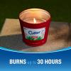 imageCutter Candle Outdoor Soy Wax Candle Made with Real Citronella Oil and Cornmint Oil Reduces The Presence of Mosquitoes with A Light Fragrant Citronella and Mint Scent 17 Ounces 6 Pack17 Oz Pack of 6