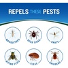 image:imageCutter Backwoods Dry Mosquito and Insect Repellent 4 Ounces Aerosol Bug Spray with 25 DEET 3 Pack